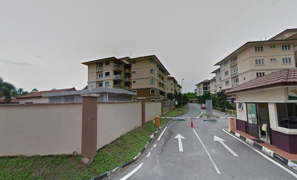 view_Larkin_Residence_3__Larkin-04